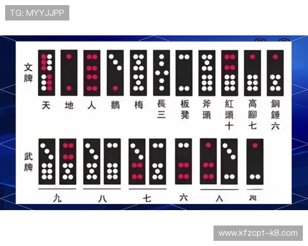 如何选择优质扑克牌牌九游戏平台保障游戏体验与安全性分析 如何选择优质扑克牌牌九游戏平台保障游戏体验与安全性分析