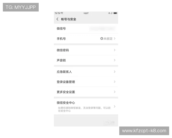 凯发手机版APP安全登录与账号保护措施,保障您的游戏资产安全无忧 凯发手机版APP安全登录与账号保护措施,保障您的游戏资产安全无忧